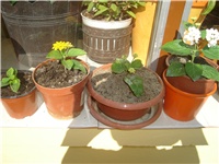6c7d9a27-Picture 257.jpg